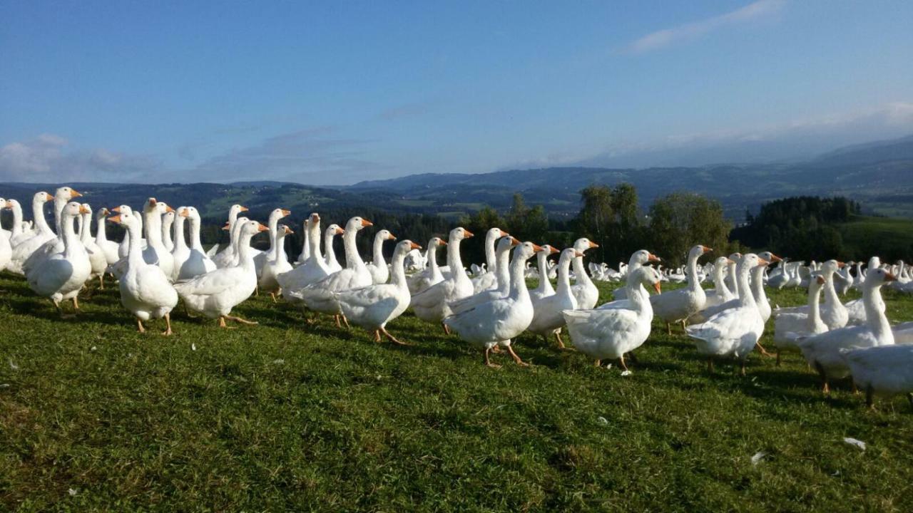Villa Lindlhof Fam. Taferner Sankt Andrä Esterno foto